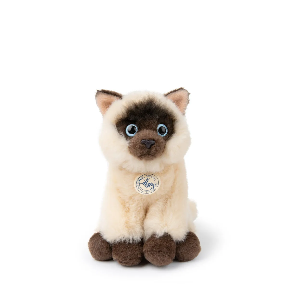 B.T. Chaps  Eddie The Siamese in Giftbox - 17cm - 6.5"