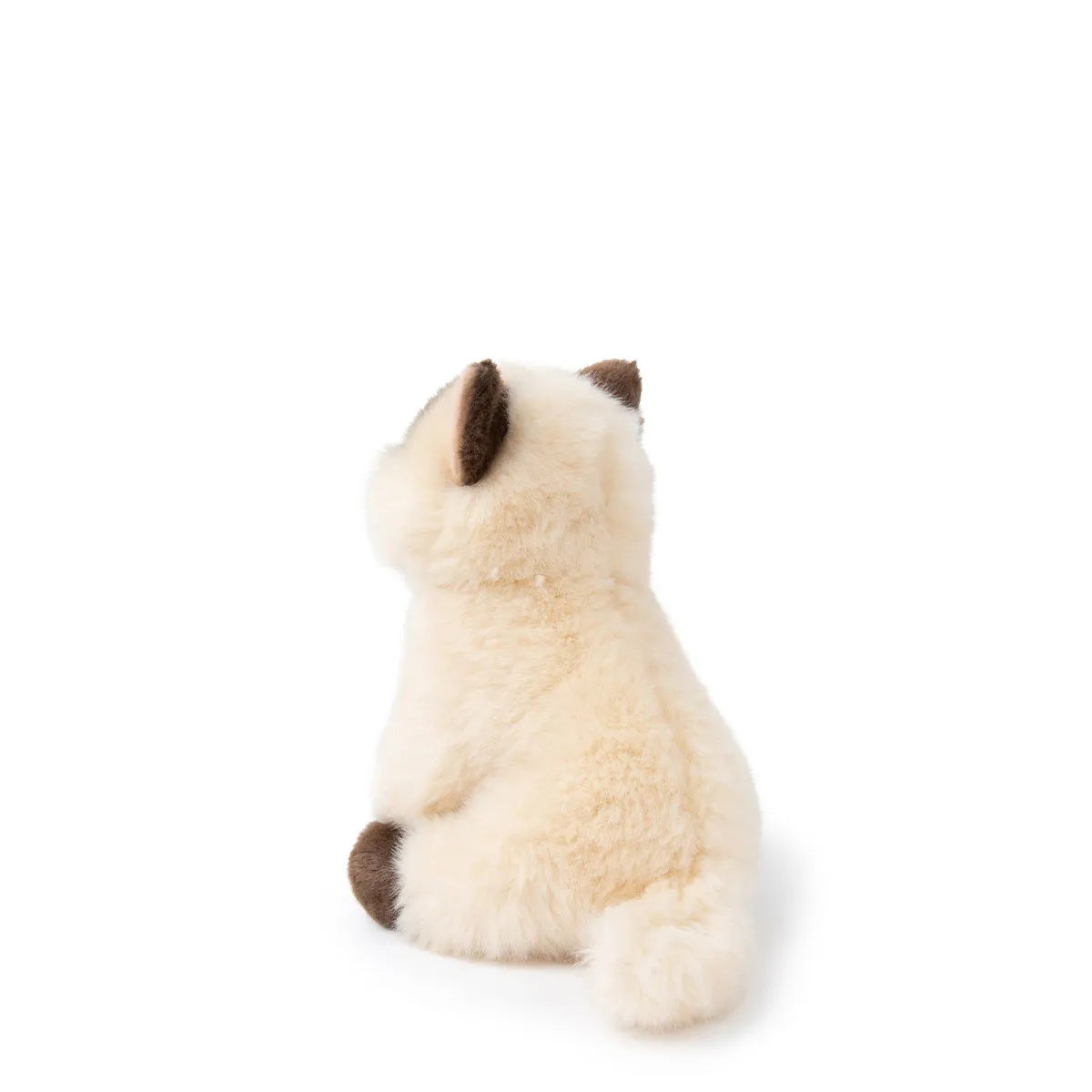 B.T. Chaps  Eddie The Siamese in Giftbox - 17cm - 6.5"