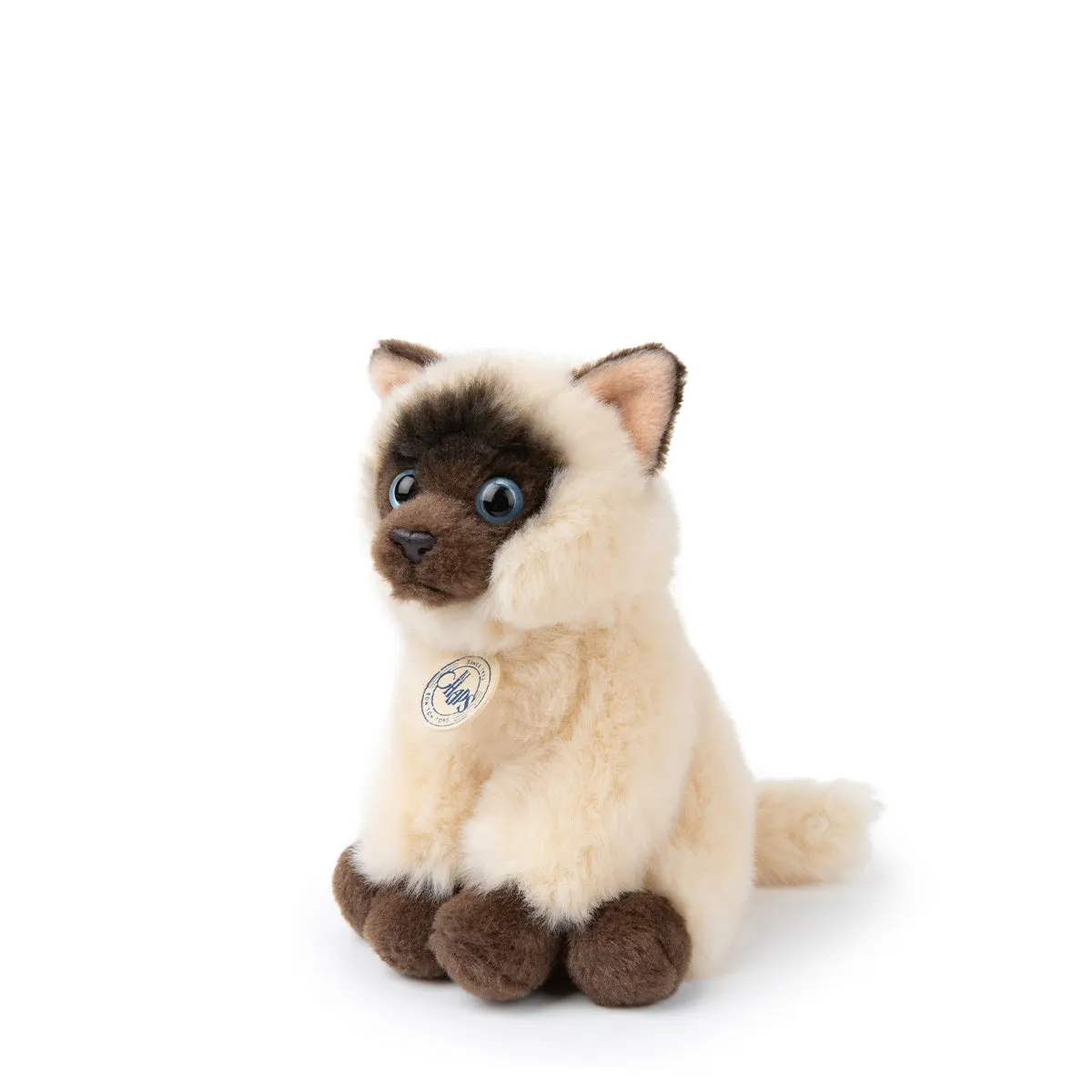 B.T. Chaps  Eddie The Siamese in Giftbox - 17cm - 6.5"