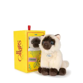 B.T. Chaps  Eddie The Siamese in Giftbox - 17cm - 6.5"