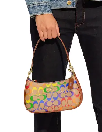 Coach Teri Shoulder Bag In Rainbow Signature Canvas