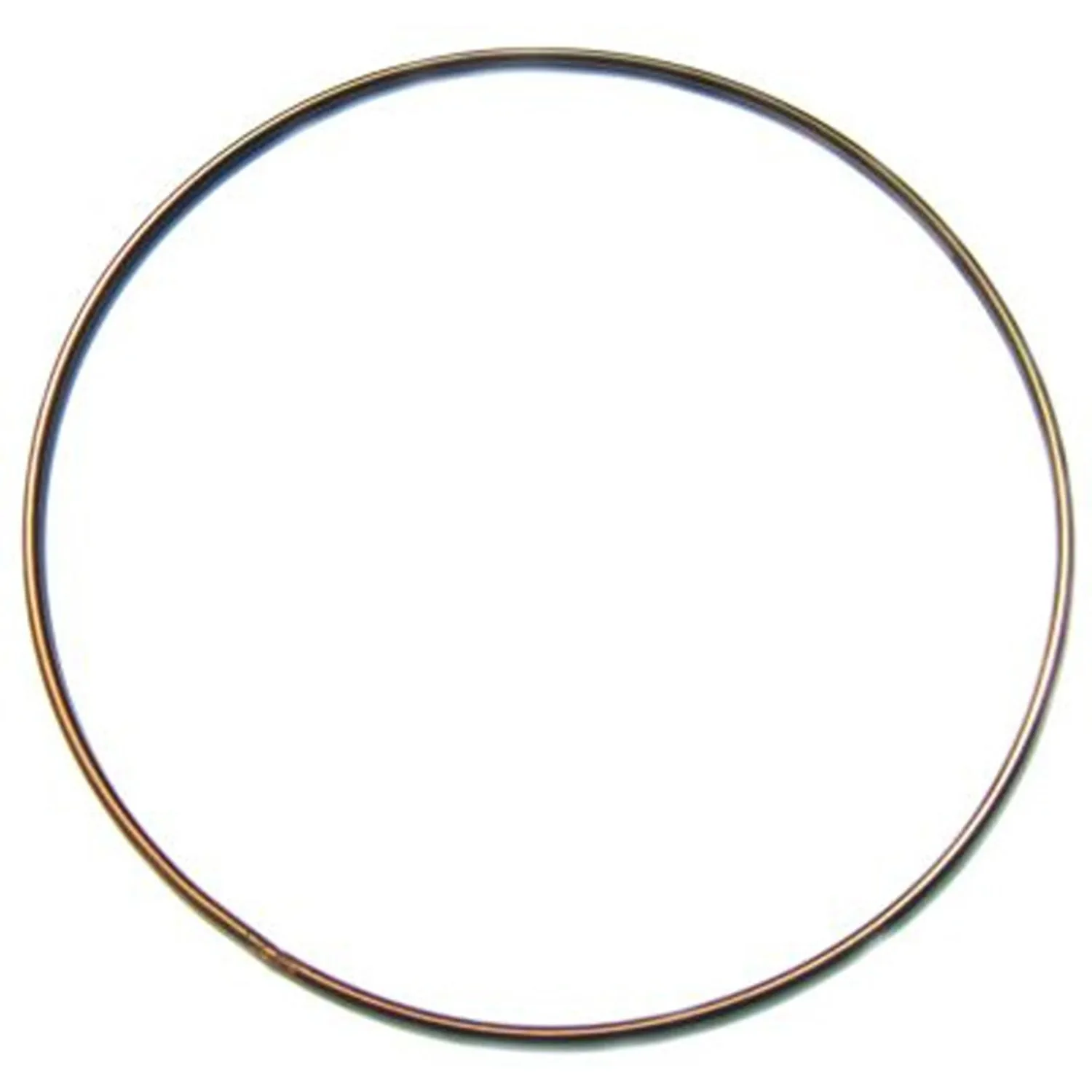 Crusader Vacuum Filter Ring