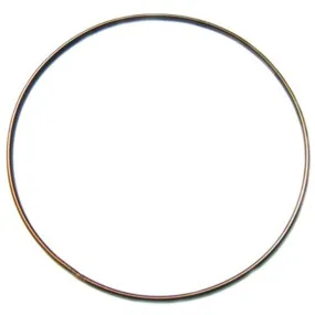 Crusader Vacuum Filter Ring