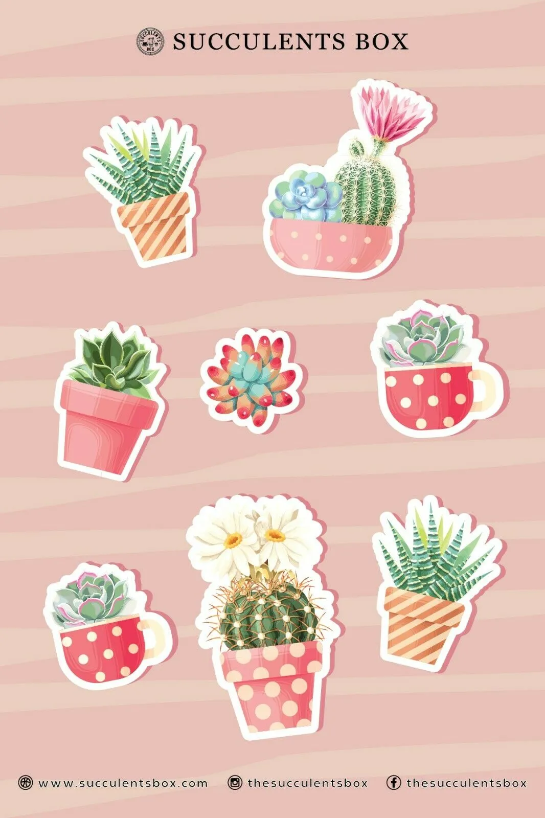 Pink Pastel Succulent Stickers